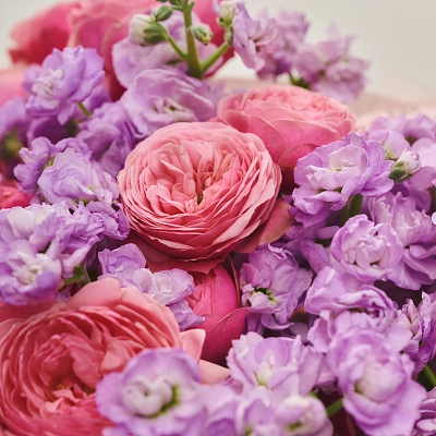 Дуобукет из кустовой розы Silva Pink с левкоем Дуобукет из кустовой розы Silva Pink с левкоем